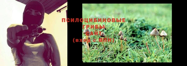 ГАЛЛЮЦИНОГЕННЫЕ ГРИБЫ Магас