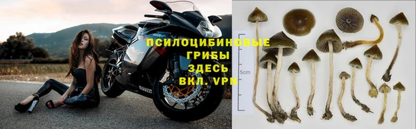 соль курить ск Майский