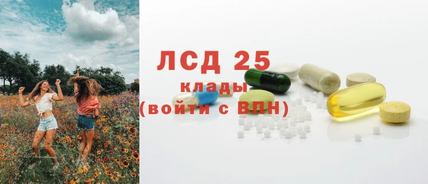 крисы Магадан