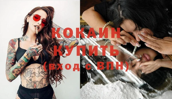 ГАЛЛЮЦИНОГЕННЫЕ ГРИБЫ Магас