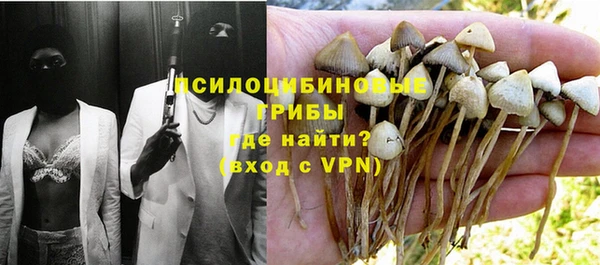 ГАЛЛЮЦИНОГЕННЫЕ ГРИБЫ Магас
