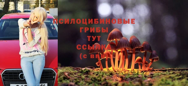 ГАЛЛЮЦИНОГЕННЫЕ ГРИБЫ Магас