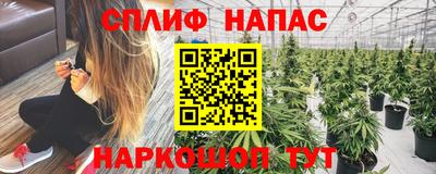 mdma Дубна