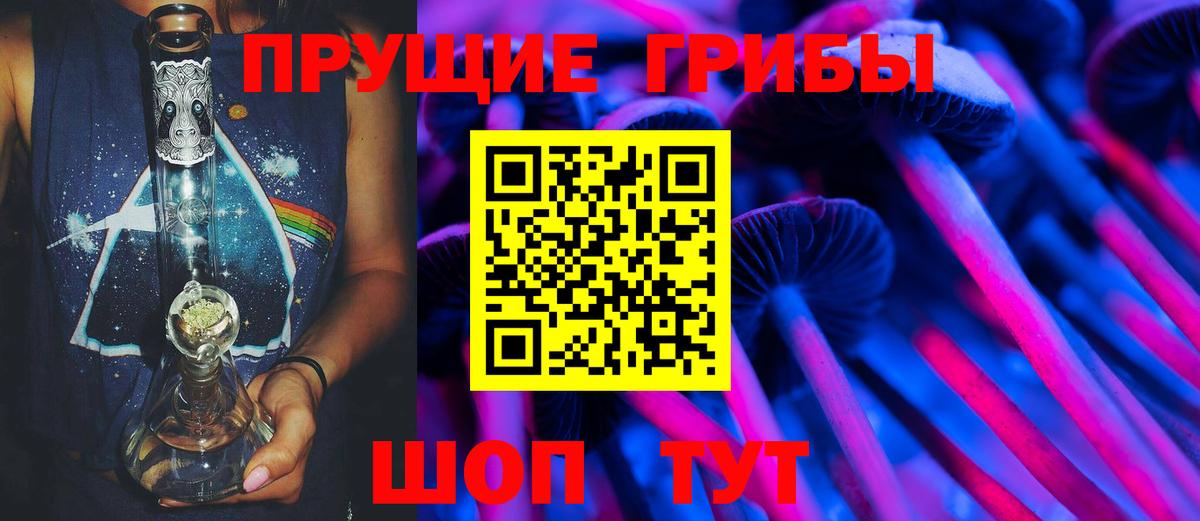 Красногорск  Галлюциногенные грибы Cubensis  Вход с VPN 